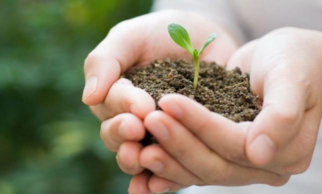 Día Mundial del Medio Ambiente