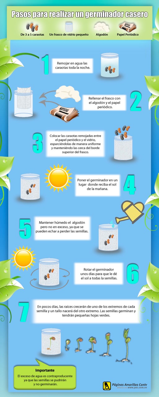 Infografia Germinador