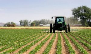 Agricultura: Preparación de la tierra