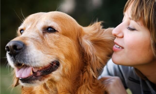 Comunicación con los animales