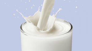 La leche y sus variedades