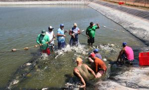 Tipos de pesca en Venezuela