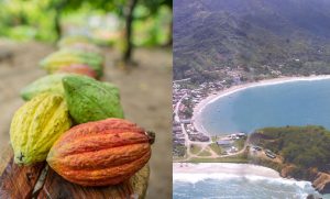 Río Caribe, ciudad de los señores del cacao